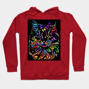 Cat of Color Hoodie